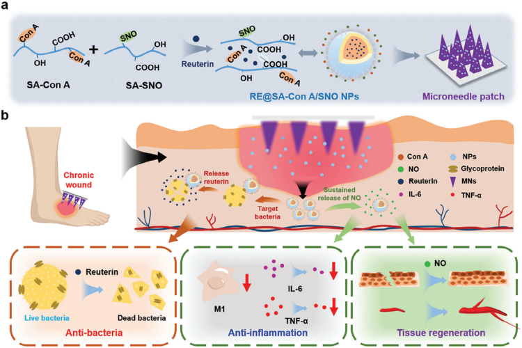 1743671699493028.png 微信圖片_20250403170809.png