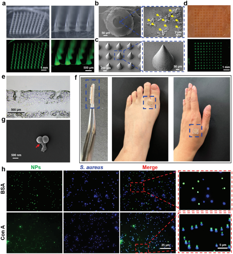 1743671771302465.png 微信圖片_20250403170833.png