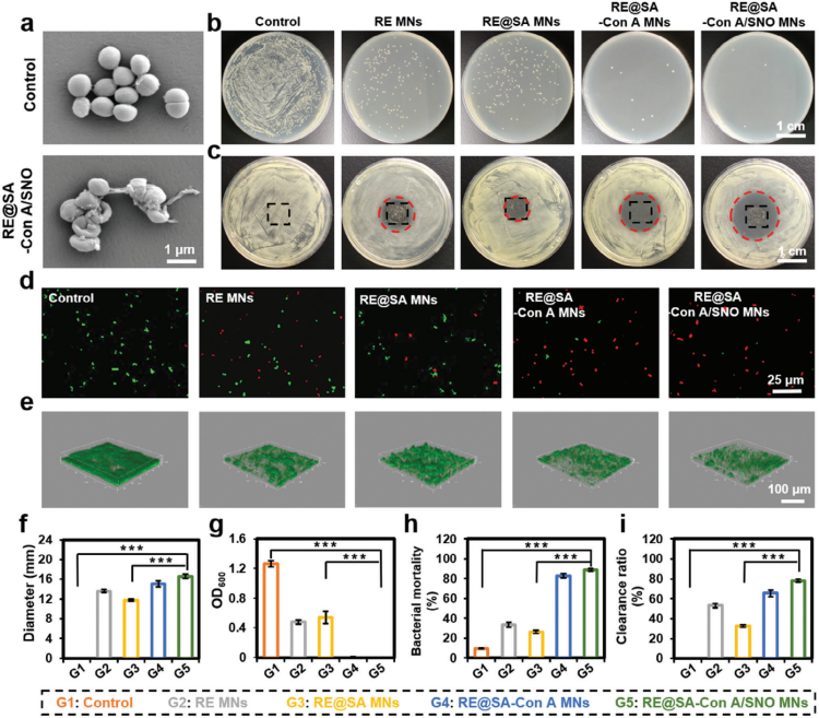 1743671809562244.png 微信圖片_20250403170838.png