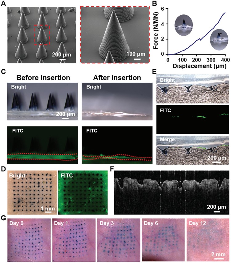 1744100111694376.jpg 微信圖片_20250408161256.jpg
