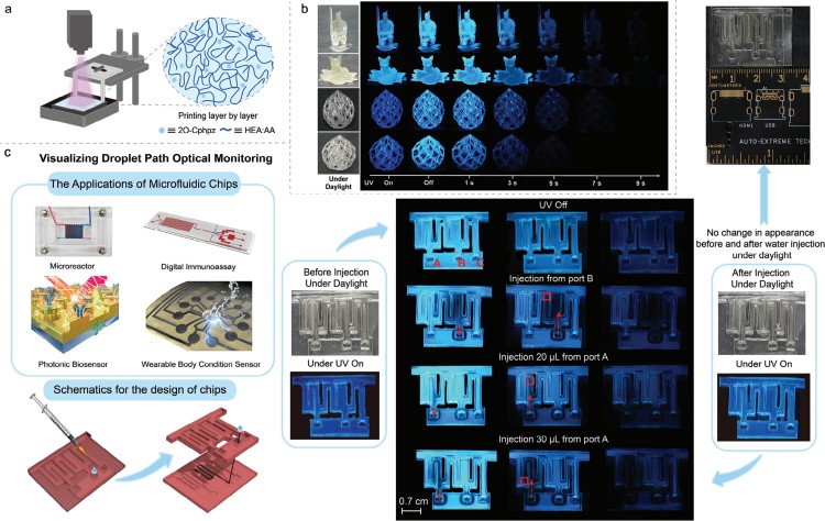 1744100806427993.jpg 微信圖片_20250408162314.jpg