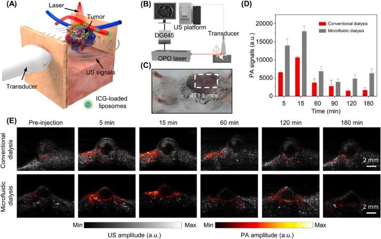 1744274739758760.jpg 微信圖片_20250410164235.jpg