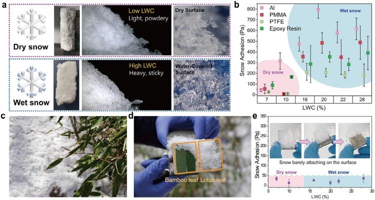 1744767707973859.jpg 微信圖片_20250416092659.jpg