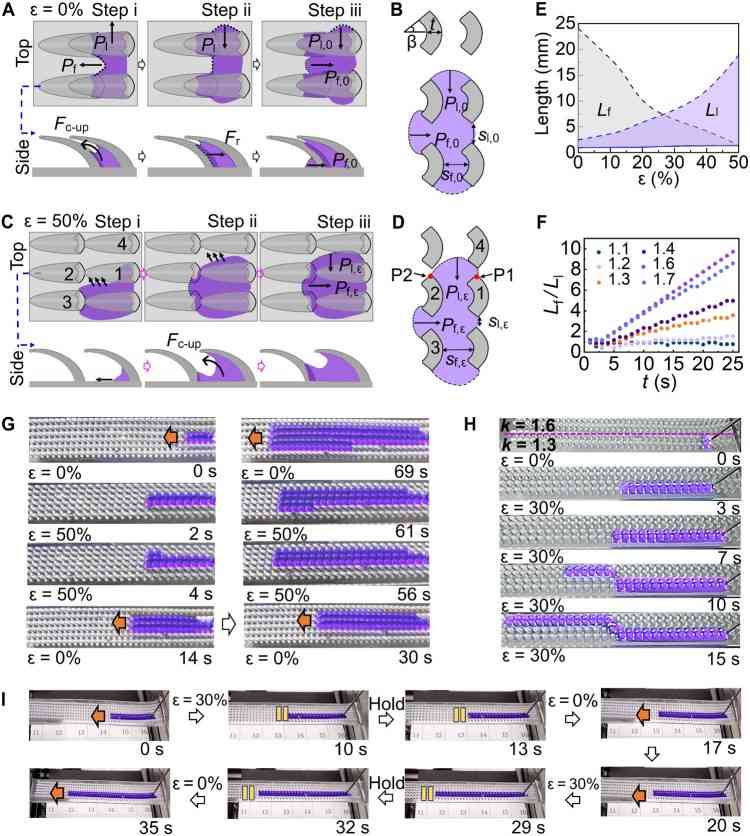 1745205185348950.jpg 微信圖片_20250421111119.jpg