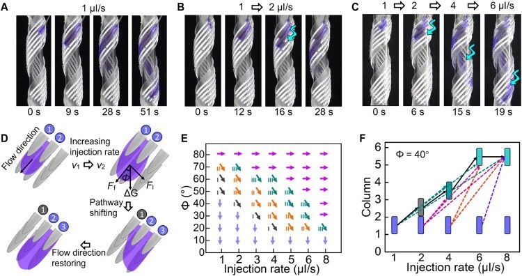 1745205209993919.jpg 微信圖片_20250421111123.jpg