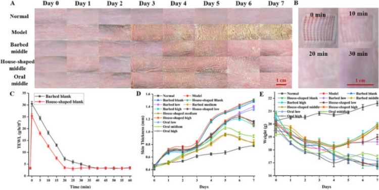 1745992351419626.jpg 微信圖片_20250430135047.jpg