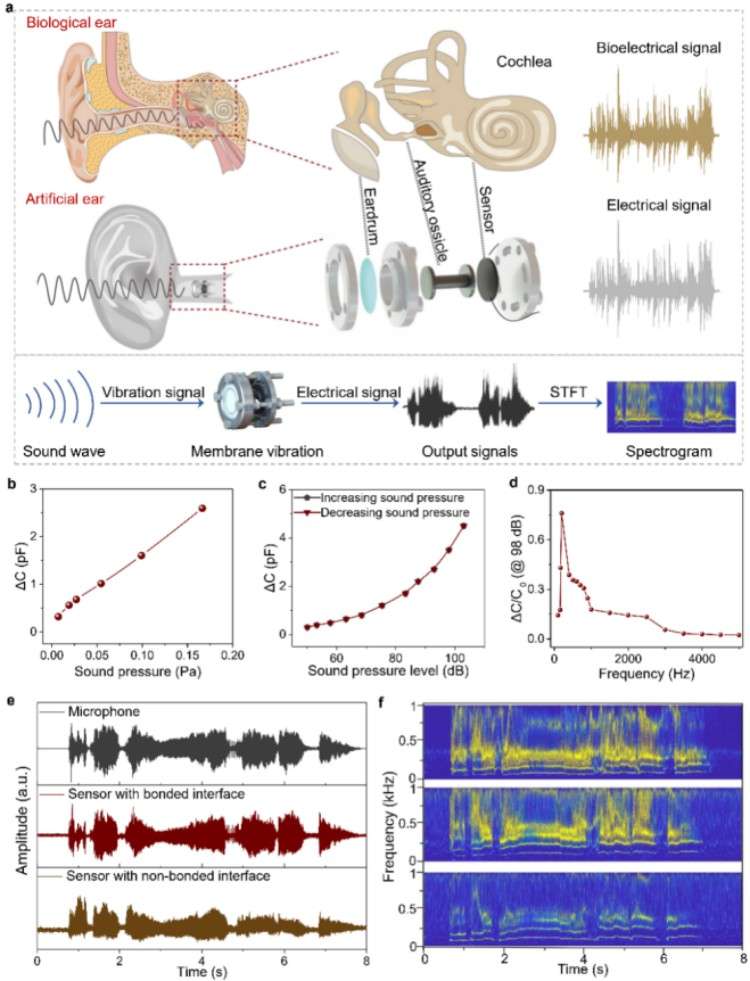 1745992974768248.jpg 微信圖片_20250430140104.jpg