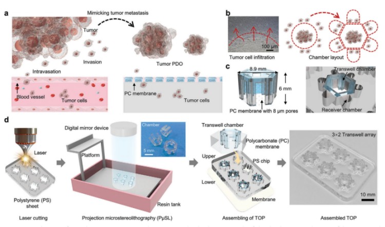 1746005296841221.jpg 微信圖片_20250430172713.jpg