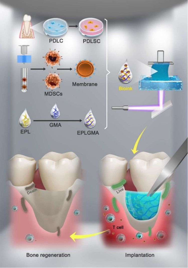 1746501764668276.jpg 微信圖片_20250506112151.jpg