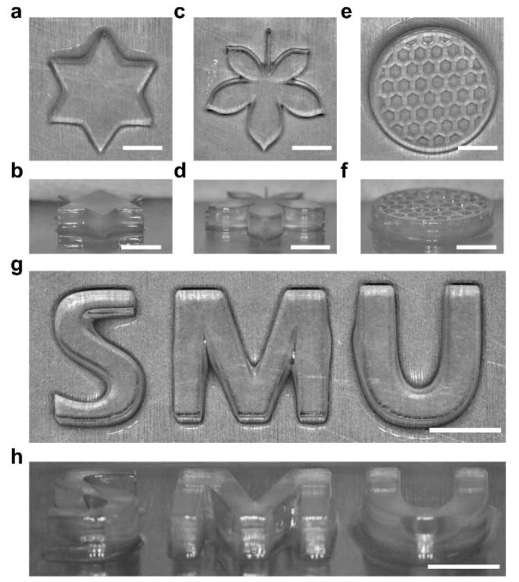 1746501798655843.jpg 微信圖片_20250506112203.jpg