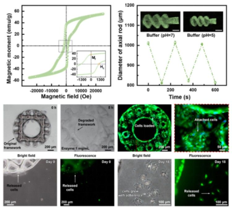 1746601006760725.jpg 微信圖片_20250507144648.jpg
