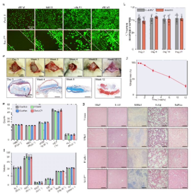 1757301388153252.png 微信圖片_2025-09-08_110445_894.png