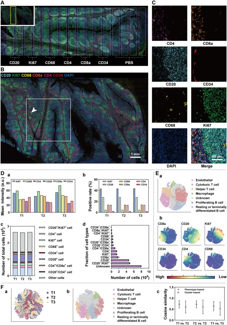 1770196374513497.jpg 微信圖片_2026-02-04_143106_519.jpg