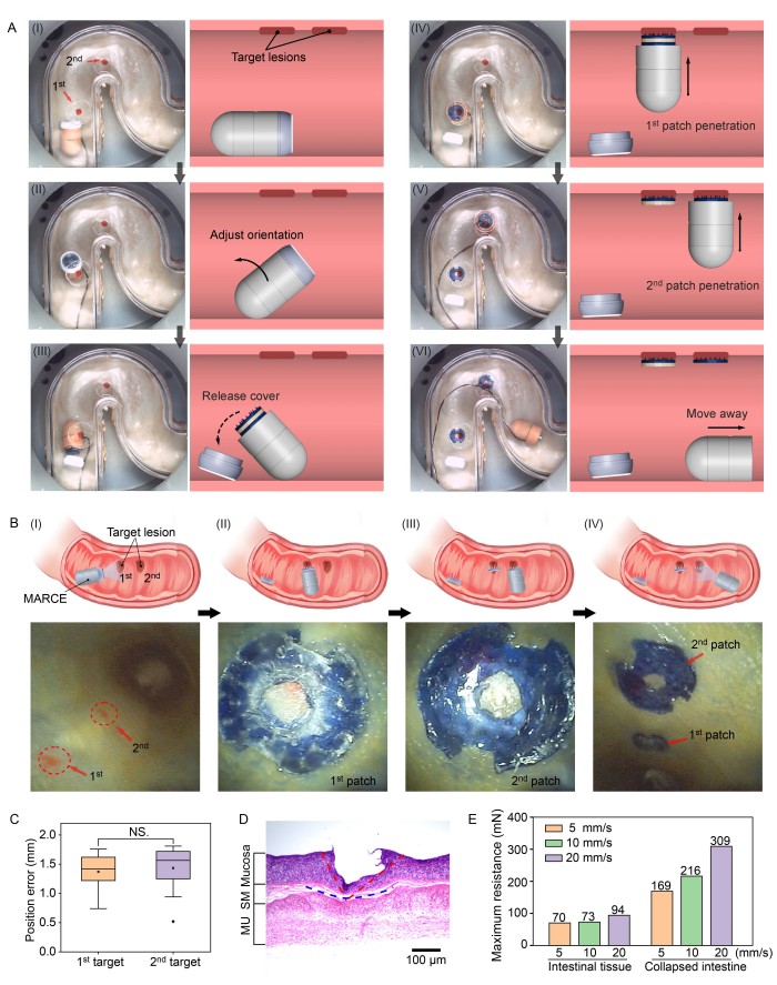 1771983061971048.jpg 微信圖片_2026-02-25_092333_453.jpg